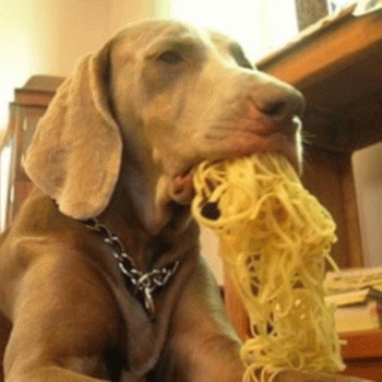 Sloth (USA-2) : The Vegetable Mei Fun Is Good (Tee-Hee-Hee-Hee-Hee)